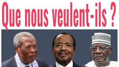 La revue de presse camerounaise du lundi 25 mars 2024