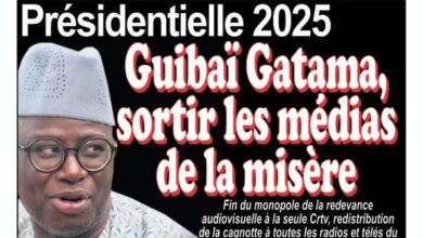 revue de presse camerounaise du mardi 02 avril 2024