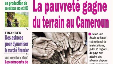 Revue de presse camerounaise du vendredi 26 avril 2024