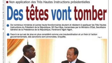 Revue de presse camerounaise du mardi 11 juin 2024