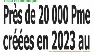 Cameroun : la revue de presse du jeudi 20 juin 2024