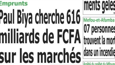 Revue de presse camerounaise du mercredi 24 juillet 2024