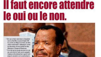 Revue de presse camerounaise du mercredi 03 juillet 2024
