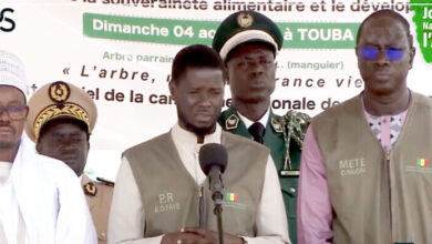 Journée nationale de l'arbre : le discours du Président Diomaye à Touba