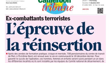 Cameroun : la revue de presse du jeudi 26 décembre