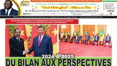 La revue de presse du Cameroun du mardi 31 décembre 2024