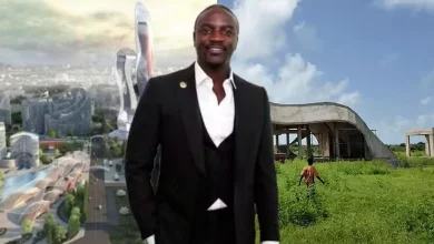 Akon City