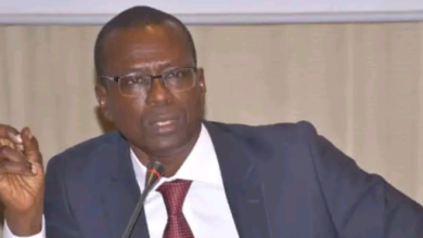 ONU : le Sénégal distingué avec le Pr Alioune Sall