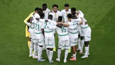 Le sélectionneur irlandais sur les Lions : "nous les avons laissés paraître médiocres"