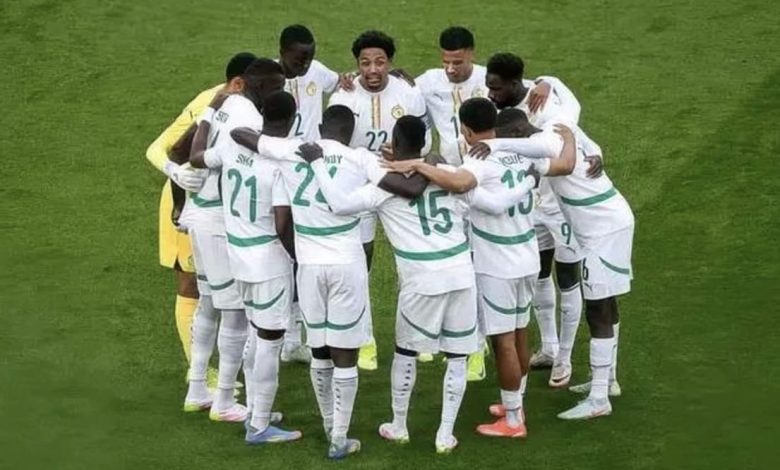 Le sélectionneur irlandais sur les Lions : "nous les avons laissés paraître médiocres"