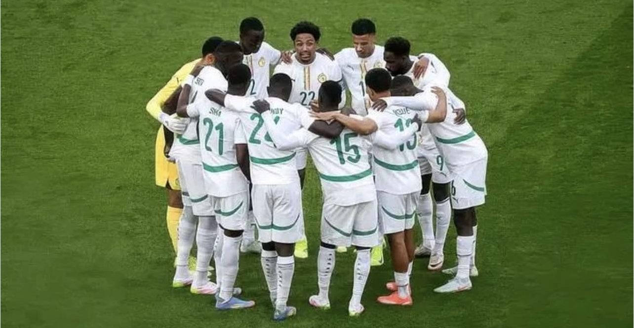 Le sélectionneur irlandais sur les Lions : "nous les avons laissés paraître médiocres"