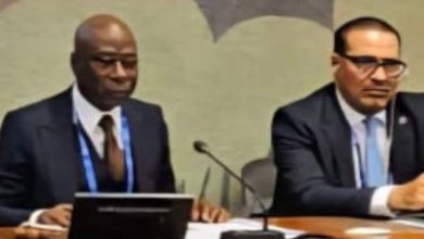 Organisations patronales d’Afrique : Baidy Agne élu Président