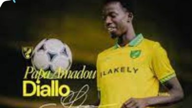 Pape Amadou Diallo de Norwich City