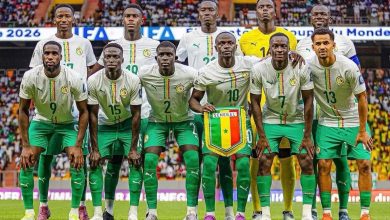 Les Lions 2e africain du Classement FIFA