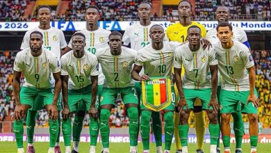 Les Lions 2e africain du Classement FIFA