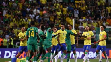 Match amical : retrouvailles entre les Lions avec le Brésil