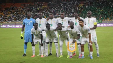 Match amical : les Lions retrouvent le Brésil, le 15 novembre