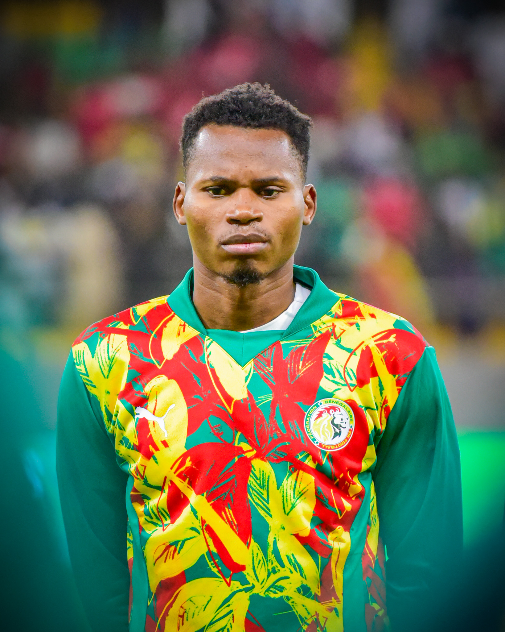 Les Lions joueront contre le Brésil en match amical, le samedi 15 novembre à Londres, sans l'attaquant Habib Diallo