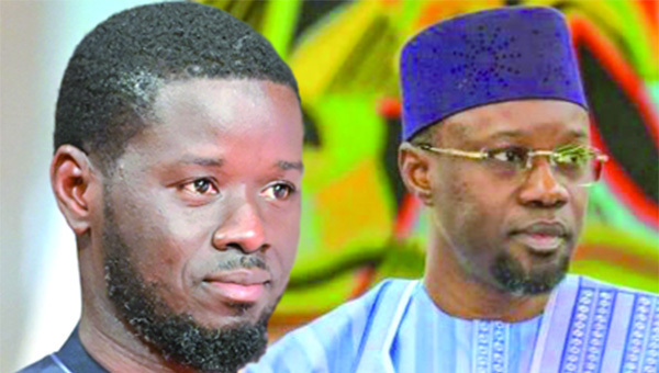 Dr Alioune Dione se prononce sur Diomaye-Sonko