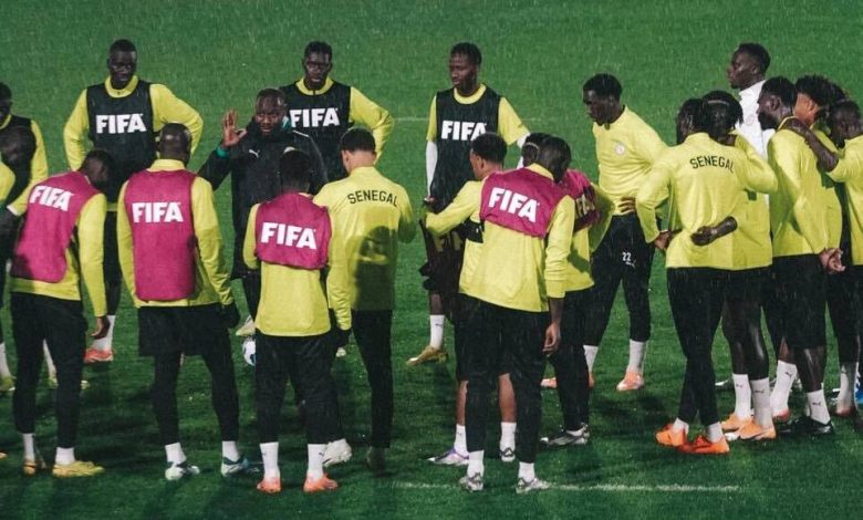 Les Lions retrouvent le Brésil à l'Emirates Stadium de Londres ce samedi à 16 heures, en match amical