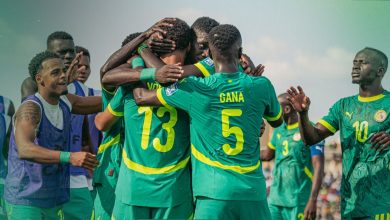 Les Lions joueront contre le Brésil en match amical, le samedi 15 novembre à Londres, sans l'attaquant Habib Diallo