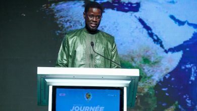 Le Président Diomaye a institué la Journée nationale de la diaspora, célébrée pour la première fois ce mercredi