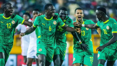 Le Lion qui a charmé Claude Le Roy, c'est...