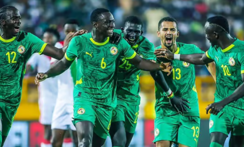 Le Lion qui a charmé Claude Le Roy, c'est...