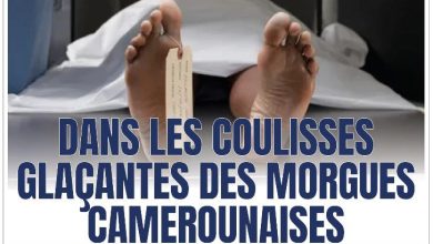 Les journaux camerounais du jeudi 18 décembre 2025