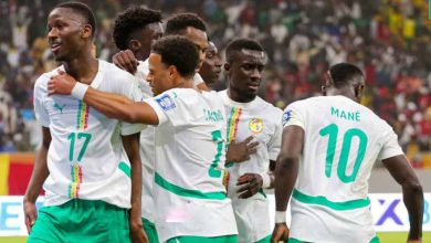 Préparation du Mondial 2026 : les USA premiers adversaires des Lions