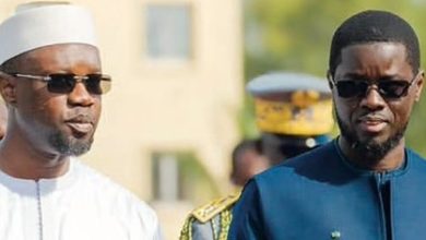 Diomaye-Sonko : "le rêve est de train de s'effondrer", dixit Pr Mamadou Diouf