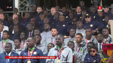 Récompenses aux Lions : 75 millions et des terrains de 1500m2