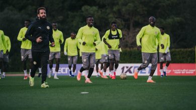 Traitement des Lions à Rabat : Pape Thiaw dénonce