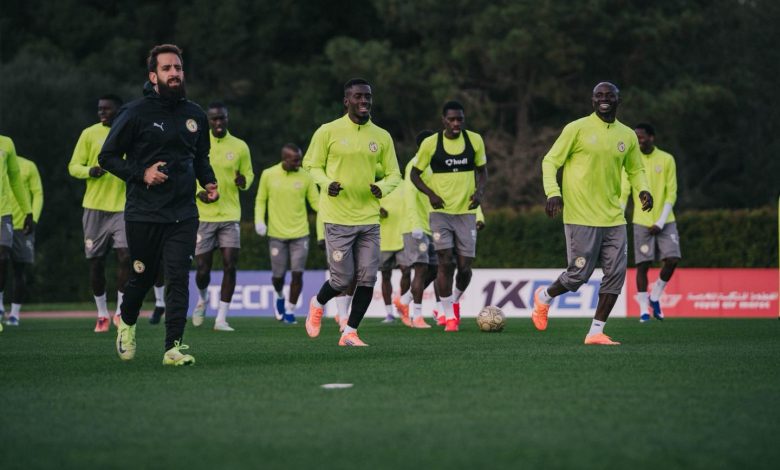 Traitement des Lions à Rabat : Pape Thiaw dénonce