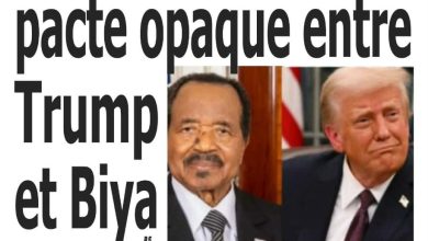 Les journaux camerounais du mardi 17 février 2026