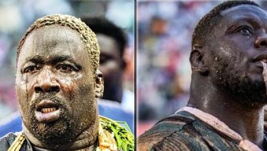 Franc est très convoité et Gris Bordeaux donne son avis, notamment sur son cachet