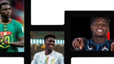 Deux revenants et deux nouveaux chez les Lions