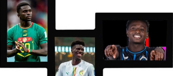 Deux revenants et deux nouveaux chez les Lions