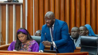 CNRM : le Conseil National de Régulation des Médias a été l'objet de la plénière à l'Assemblée Nationale