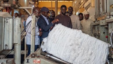 Le Président Diomaye a entamé une visite de 48 heures dans la région de Kolda, ce jeudi 23 avril