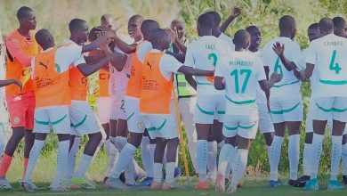 CAN Scolaire U15 : les Lionceaux sacrés