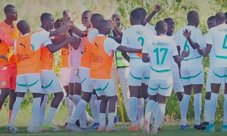 CAN Scolaire U15 : les Lionceaux sacrés