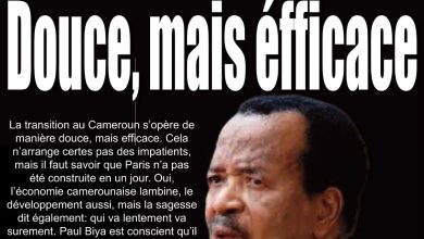 Les journaux camerounais du vendredi 24 avril 2026