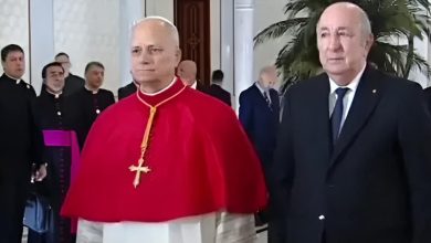 Visite de 10 jours du Pape Léon XIV en Afrique