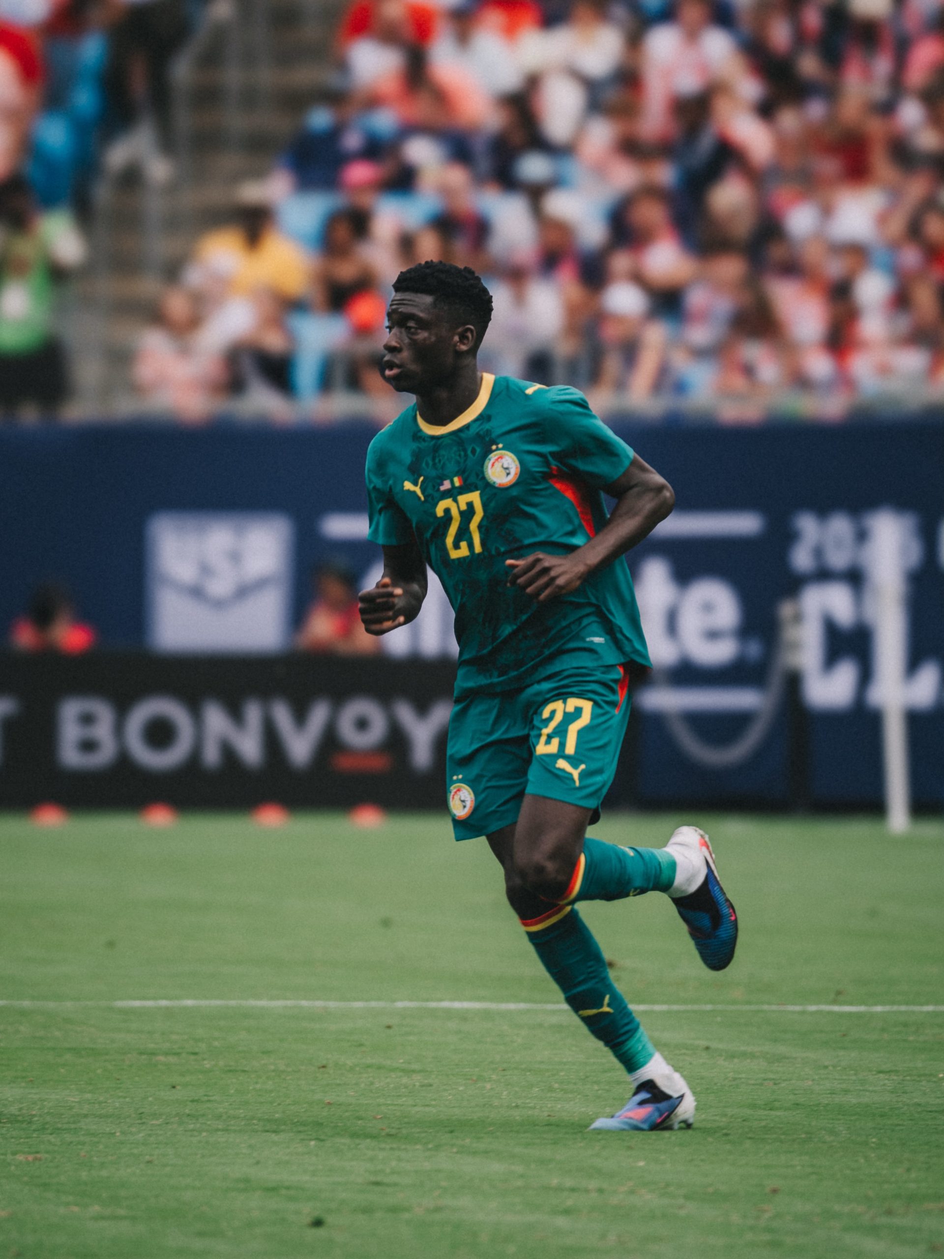 Lion Bara Sapoko Ndiaye