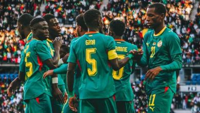 Mondial : les Lions prêts pour les Etats-Unis, ce dimanche