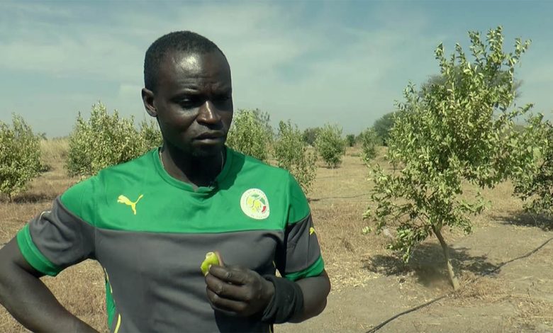 France-Sénégal : le message de Ferdinand Coly aux Lions