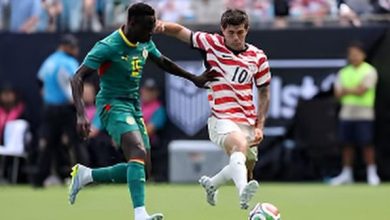 Mondial : les Lions perdent leur premier match de préparation