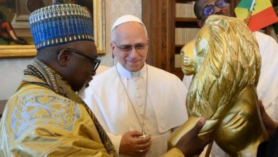 Le Pape Léon XIV reçoit le Khalife Général de Bambilor