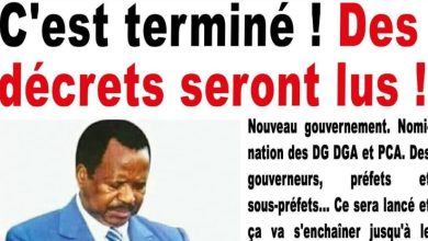 Les journaux du Cameroun du vendredi 29 mai 2026